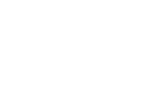 Logo Playstation Network