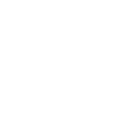 Logo de XBOX PC
